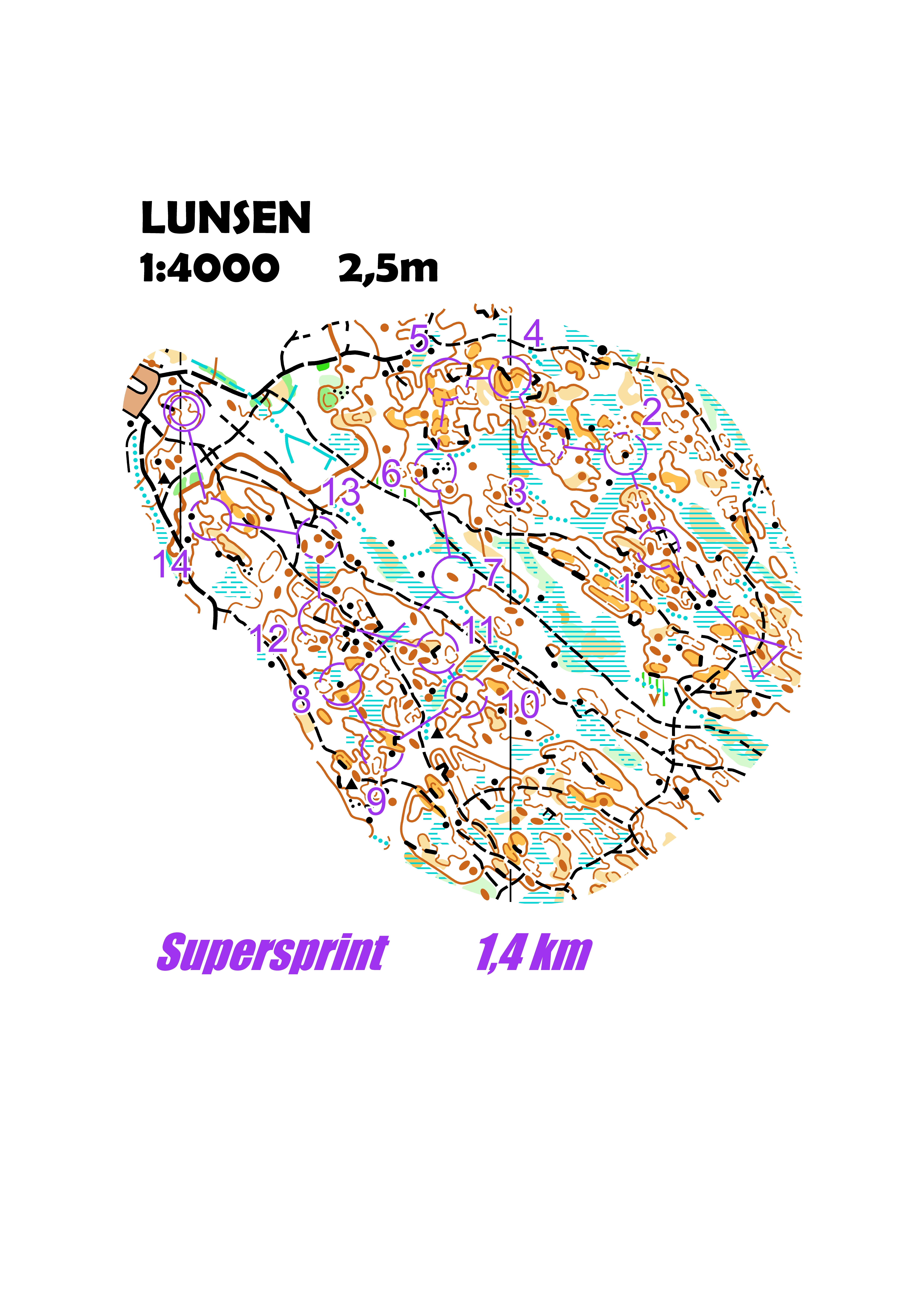 MicrO Lunsen (2024-10-31)