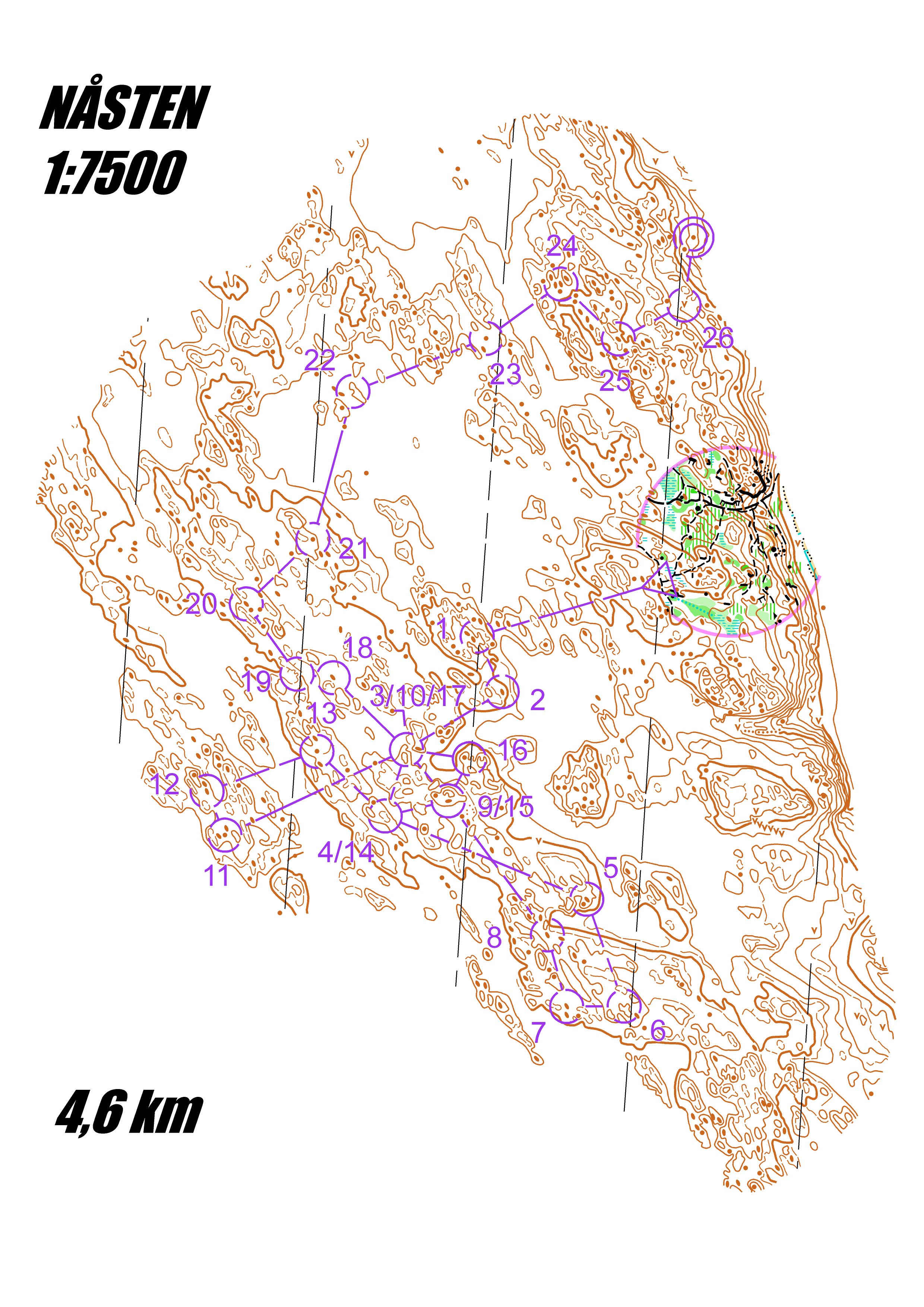 Kurvediamond Nåsten (2024-12-16)