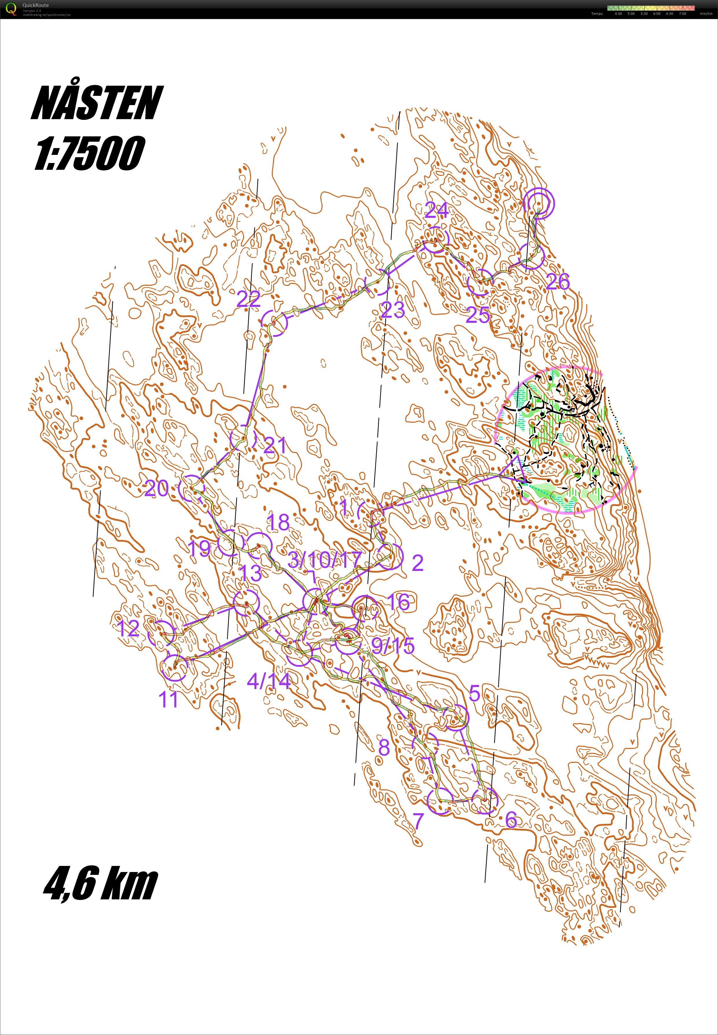 Kurvediamond Nåsten (2024-12-16)